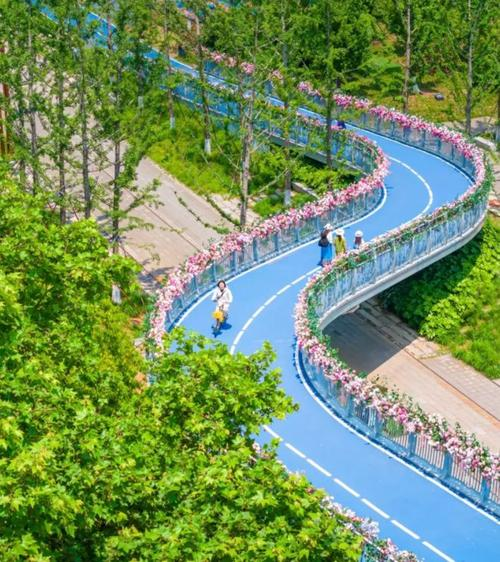 关于特色绿道跑,城市中的绿色运动之旅的信息 关于特色绿道跑,城市中的绿色运动之旅的信息