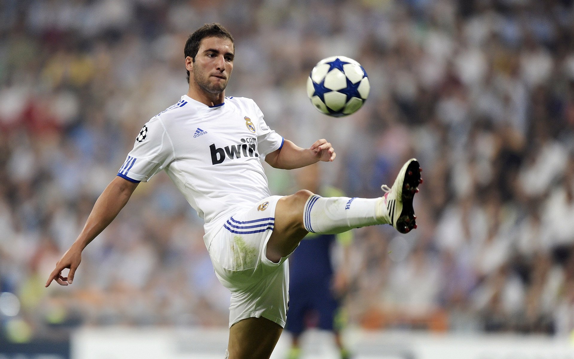 开云官方网站-乌迪内斯主场失利，欧战形势不妙，乌迪内斯最近战绩