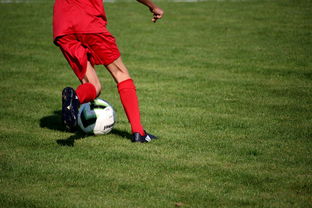 kaiyun登录入口-中国篮球职业联赛俱乐部青训体系建设及实践探索，职业篮球青年队