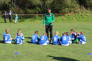 开云体育APP下载-意甲赛事中应用心理暗示战术干预效果研究